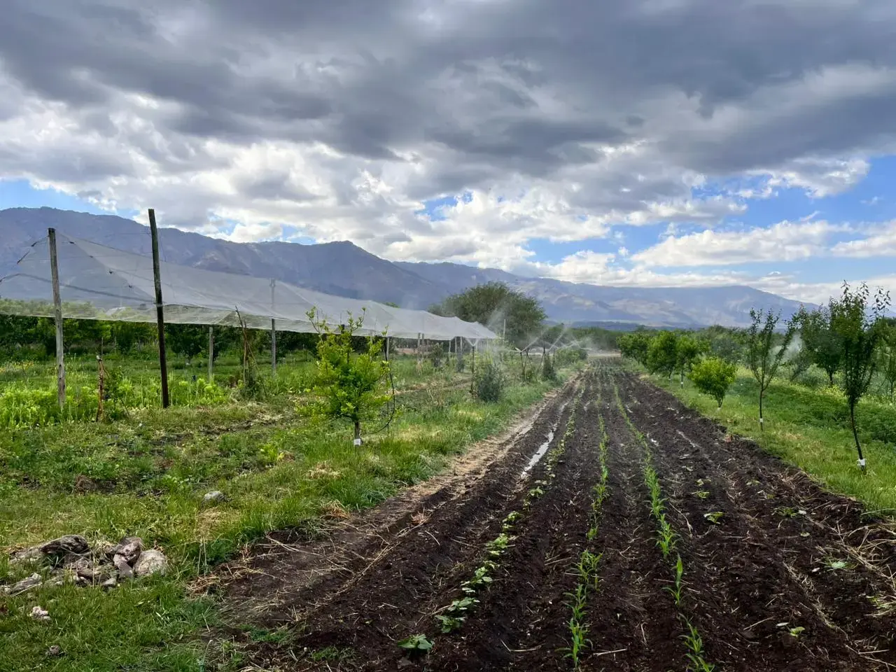 Photo of ambar location