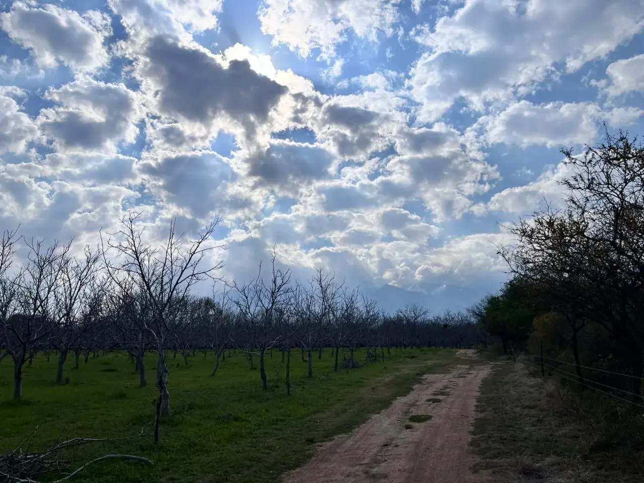 Photo of ambar location