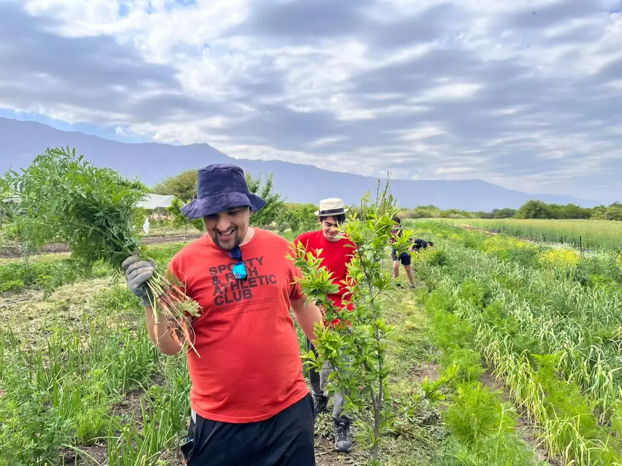 Imágen del trabajo en la granja.